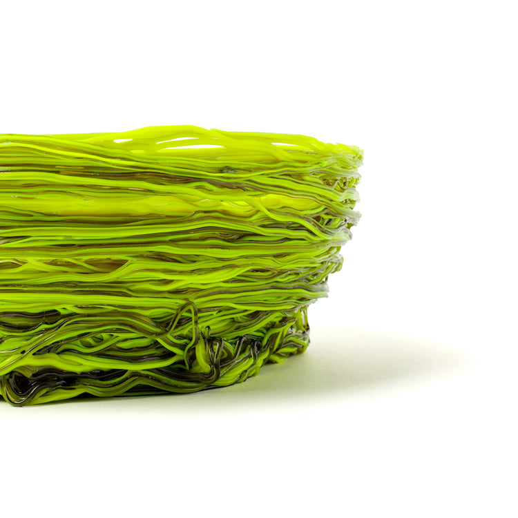 GAETANO PESCE Home
