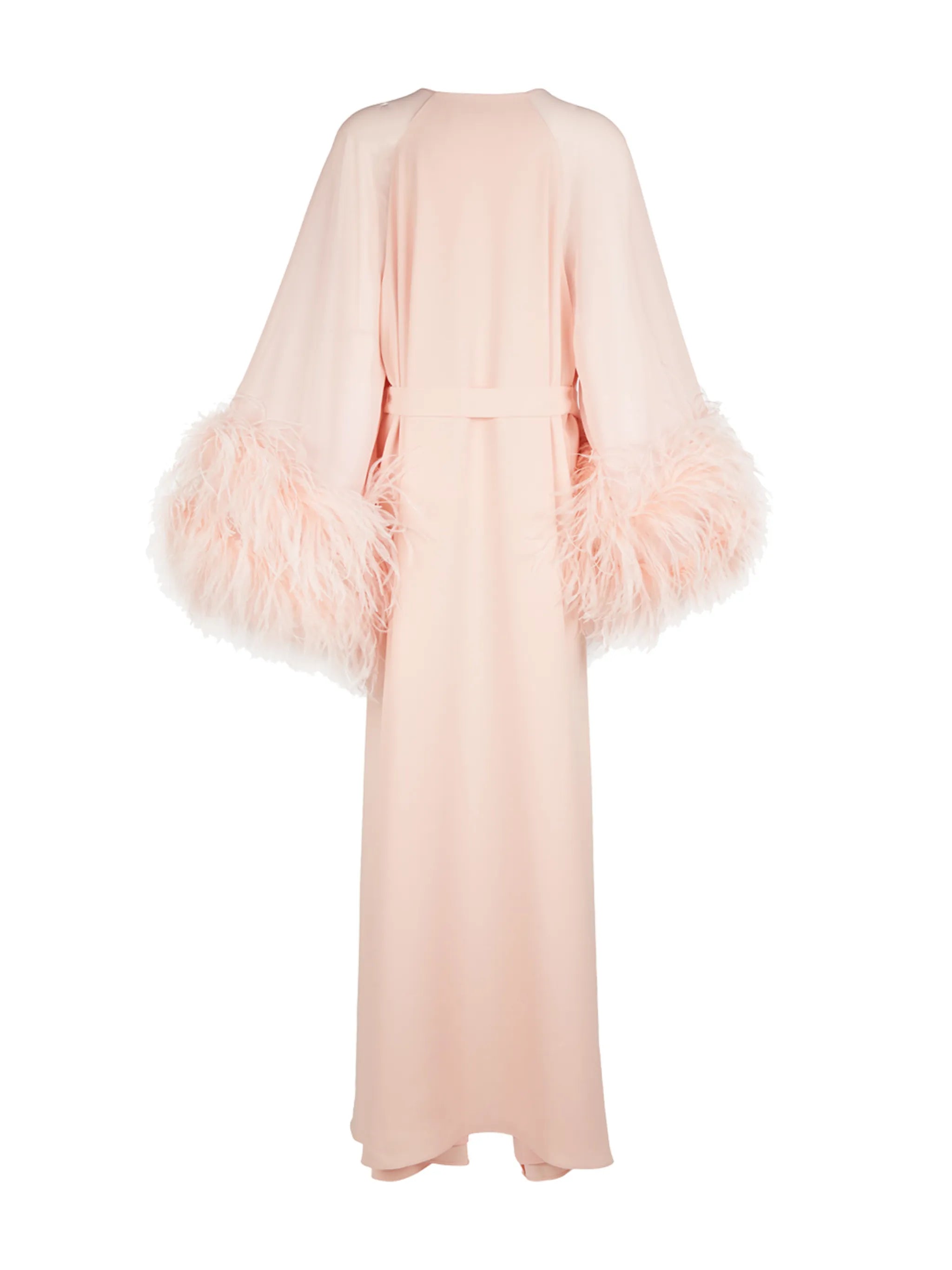 Daphnie feather-embellished gown