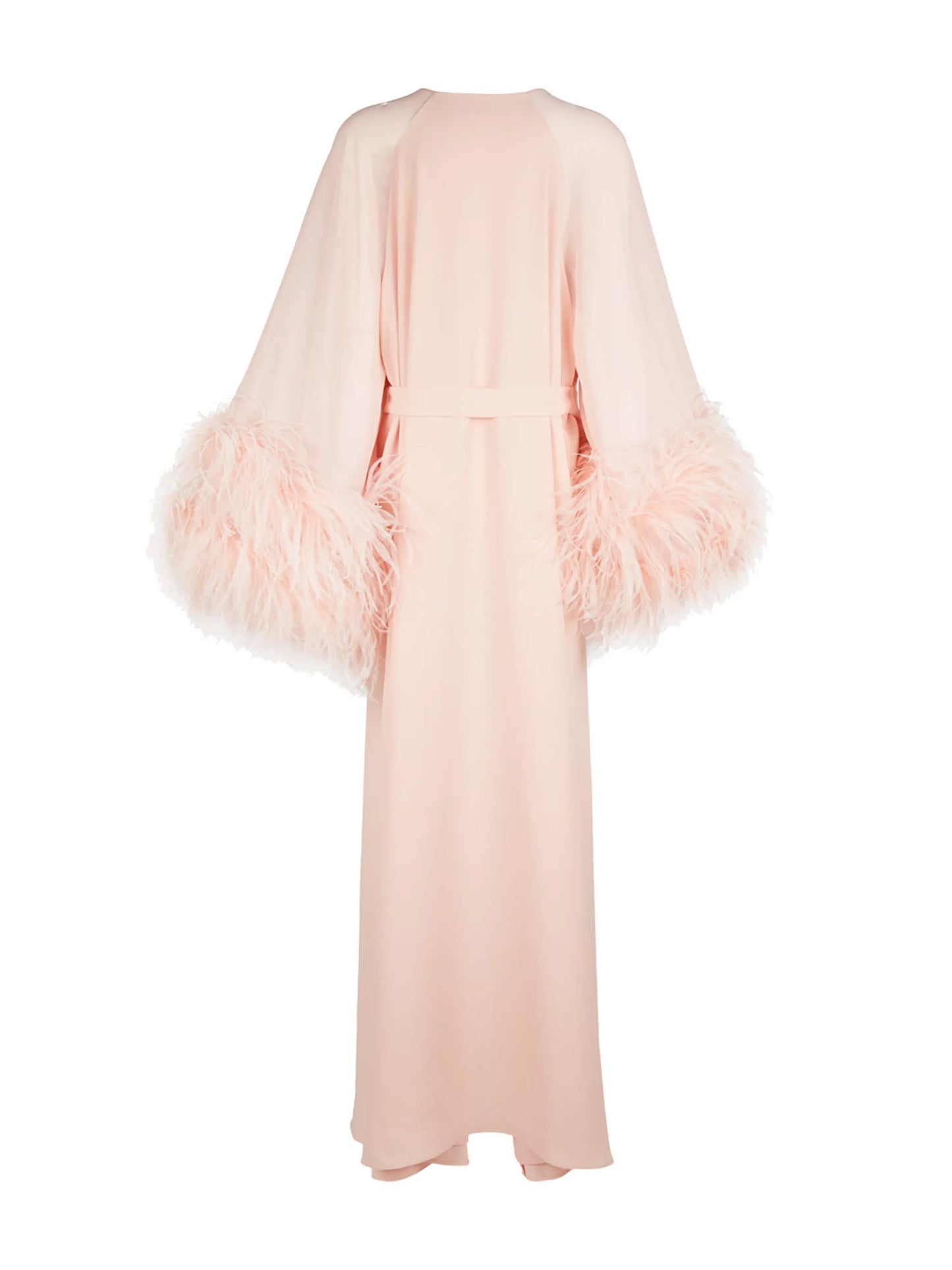 Daphnie feather-embellished gown