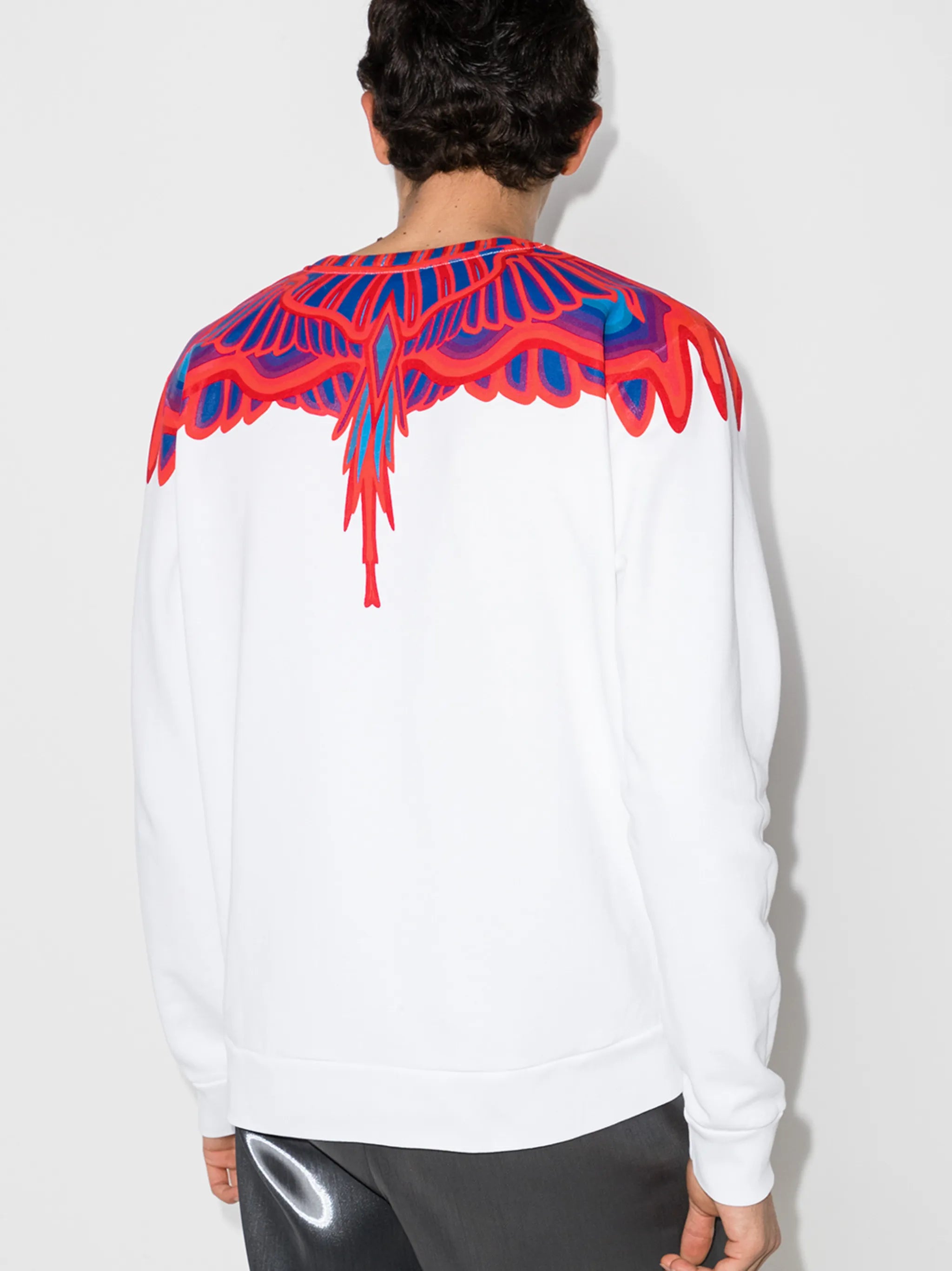 Curves Wings sweatshirt