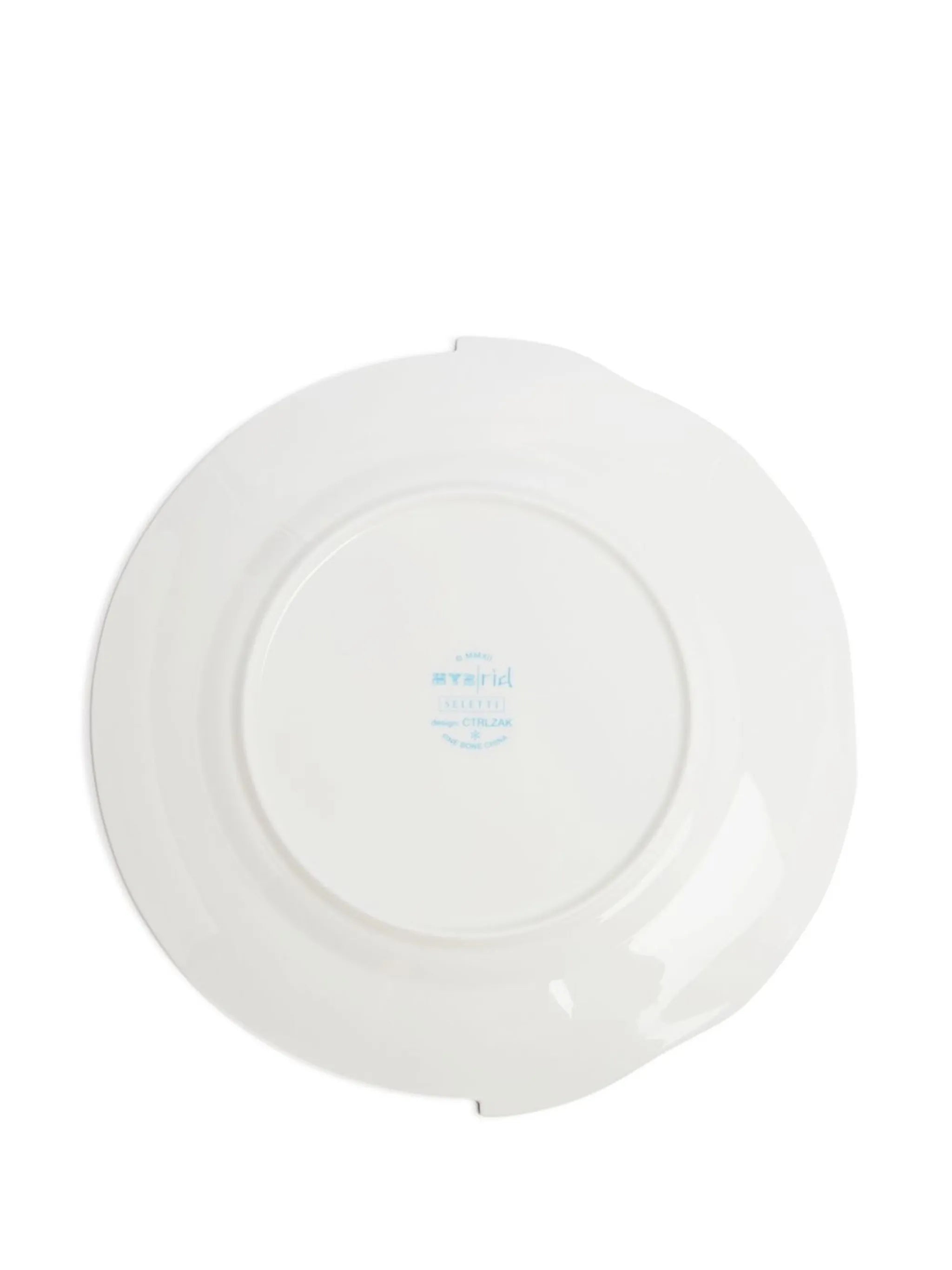 Hybrid Ipazia dinner plate