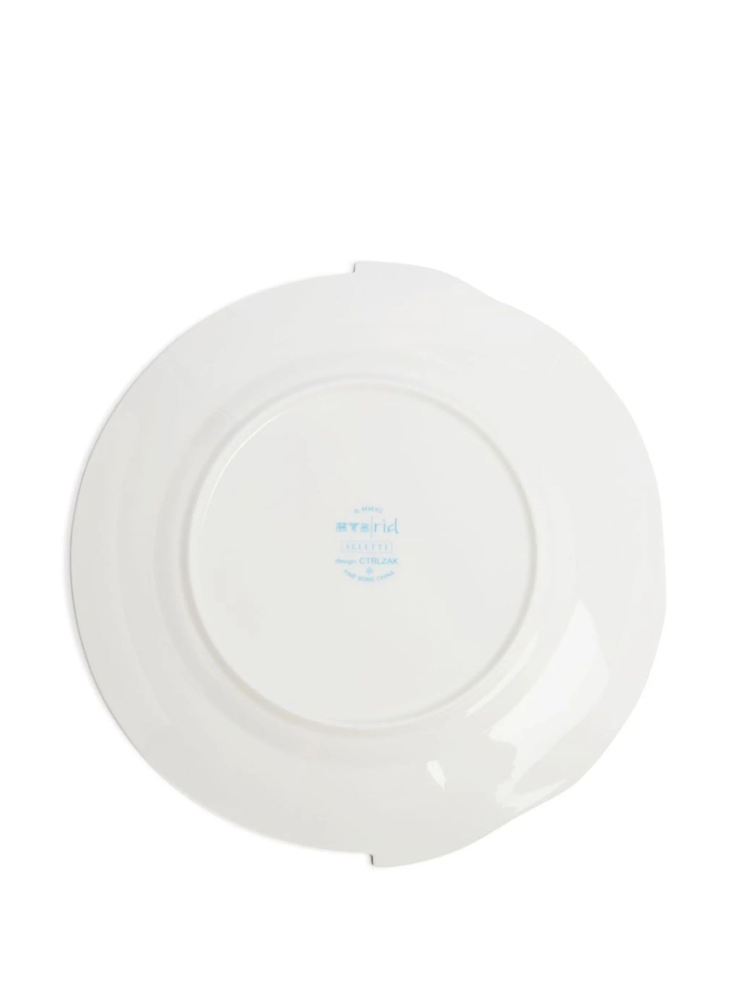 Hybrid Ipazia dinner plate