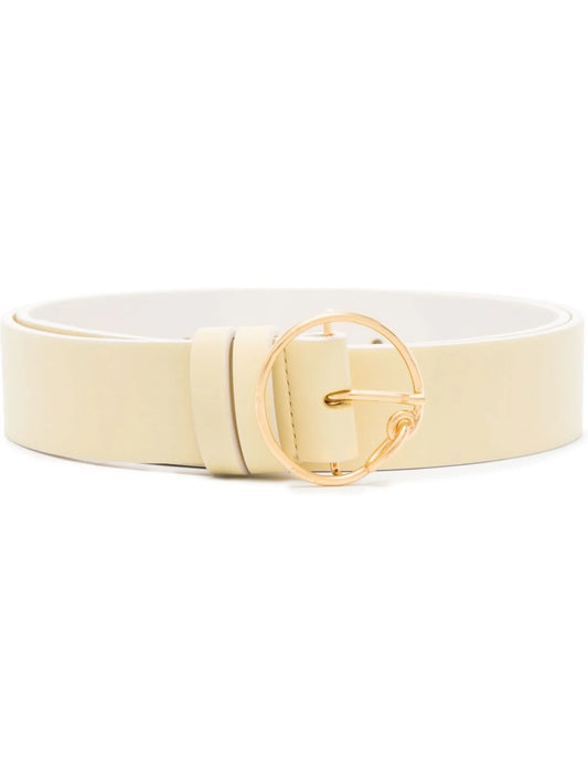 Dailey reversible belt