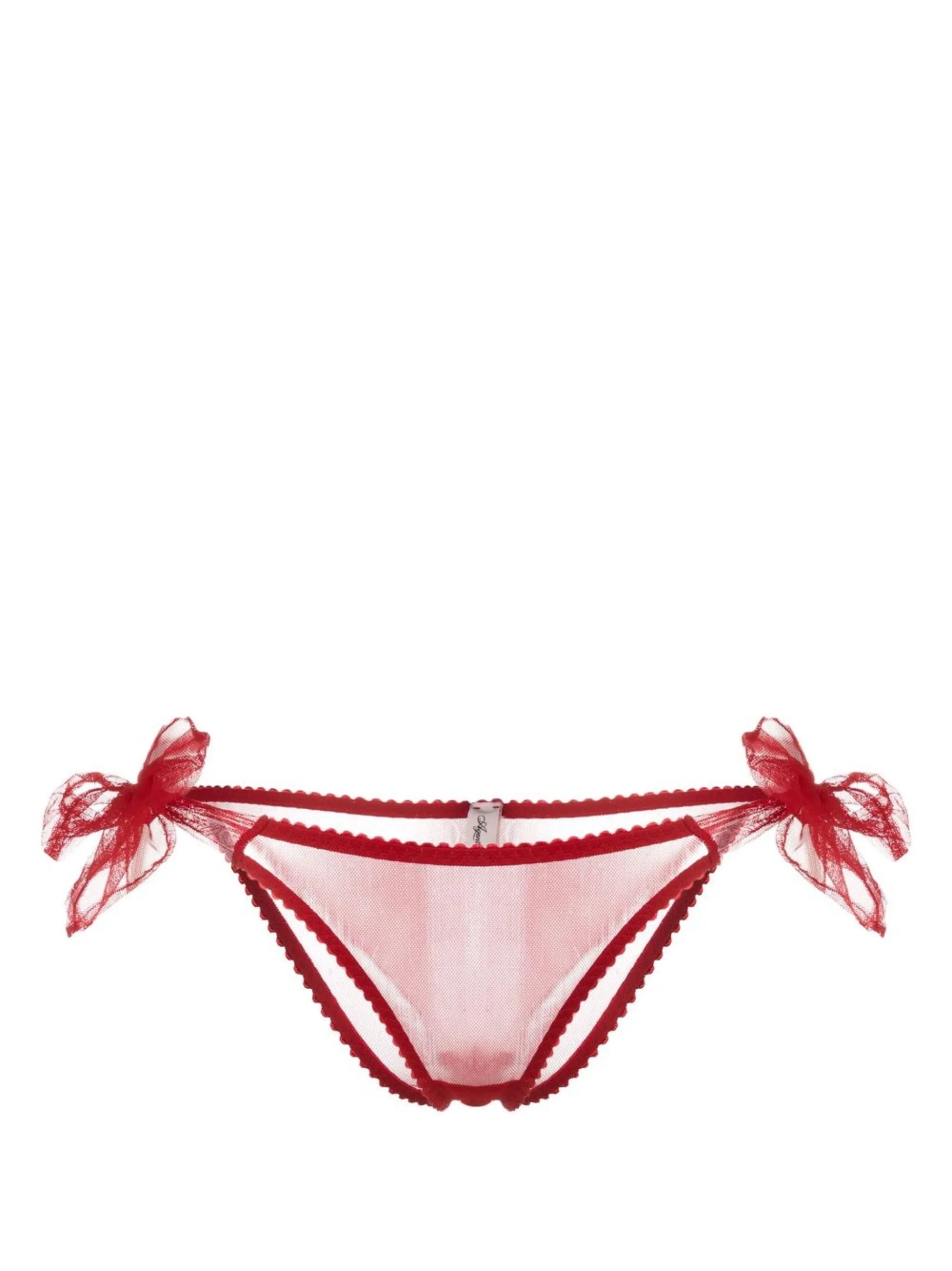 Danika sheer-finish briefs