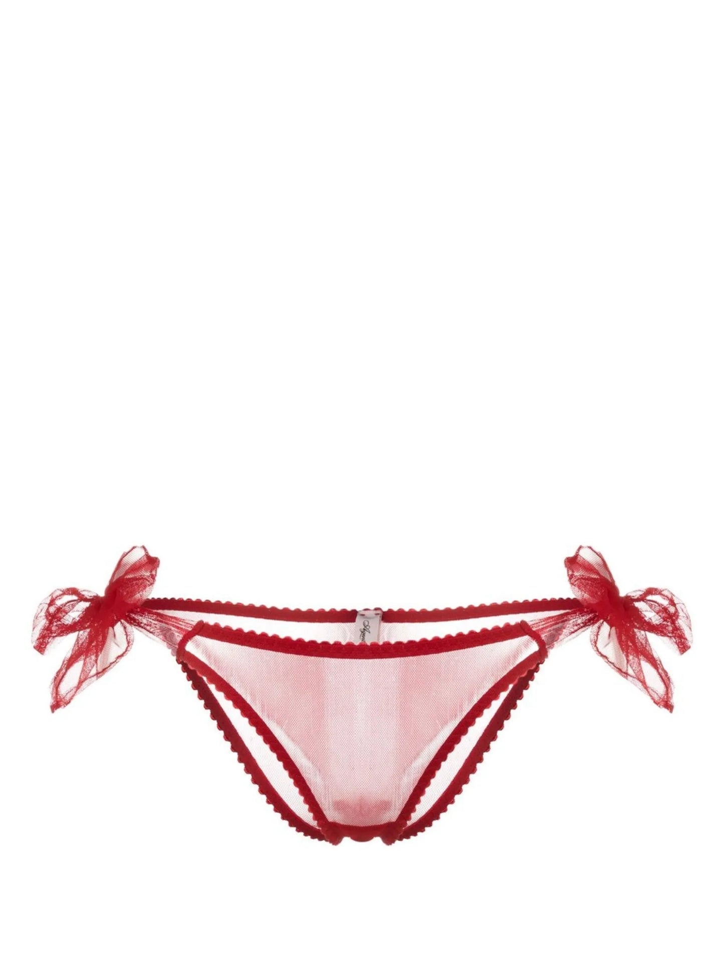 Danika sheer-finish briefs