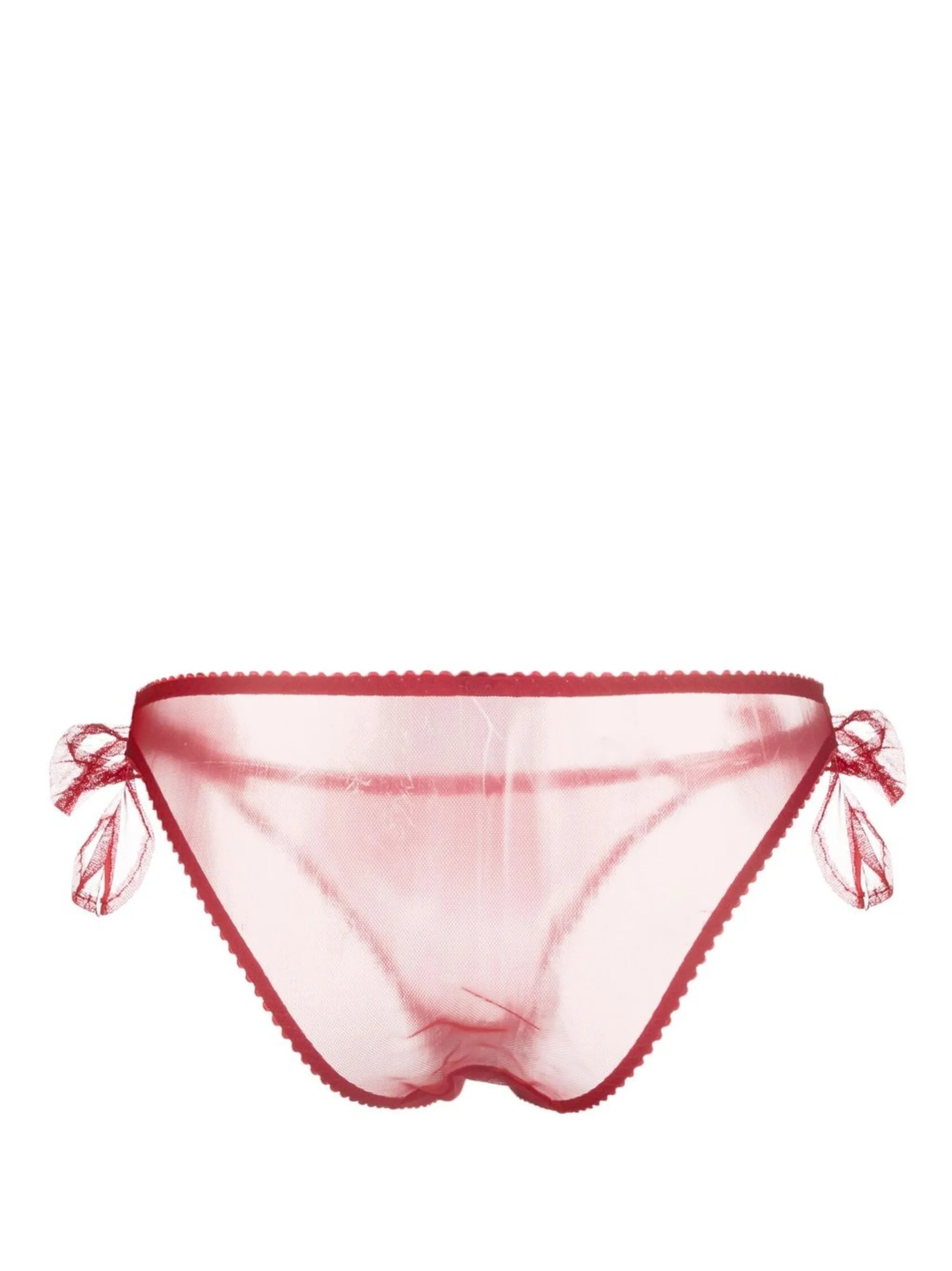 Danika sheer-finish briefs