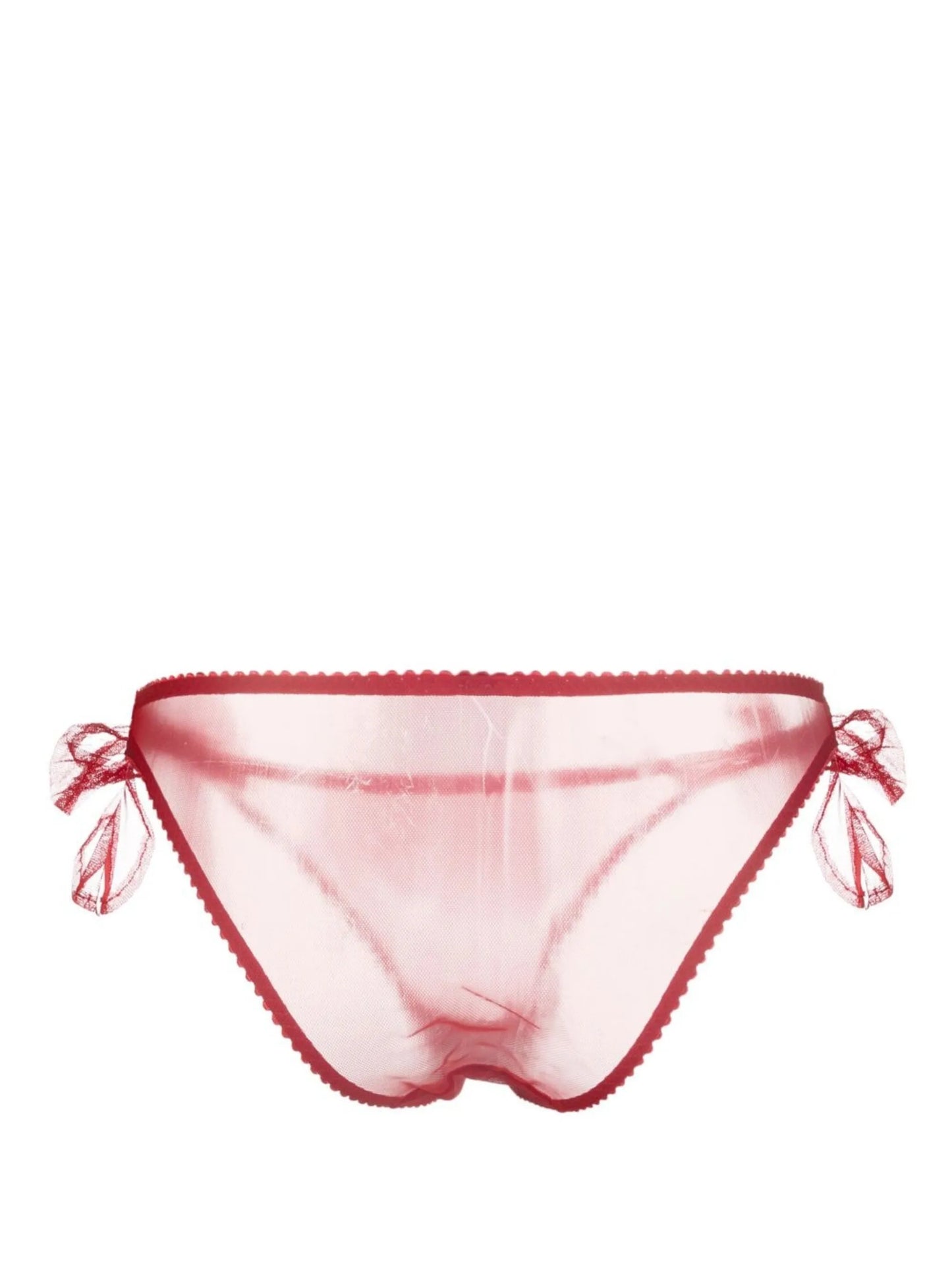 Danika sheer-finish briefs