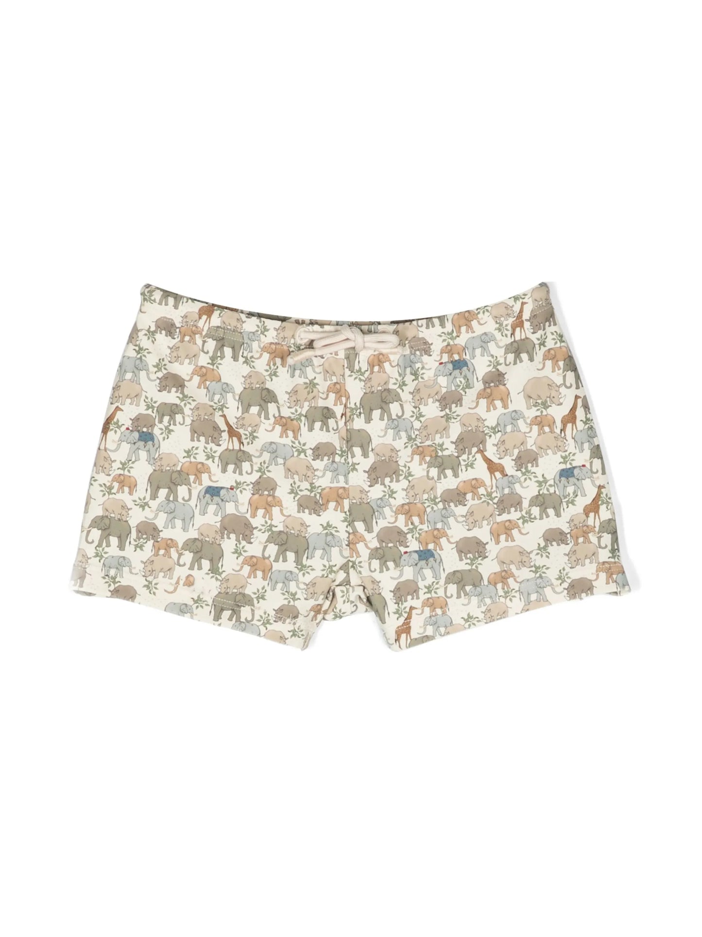 Aster two-pack swim trunks