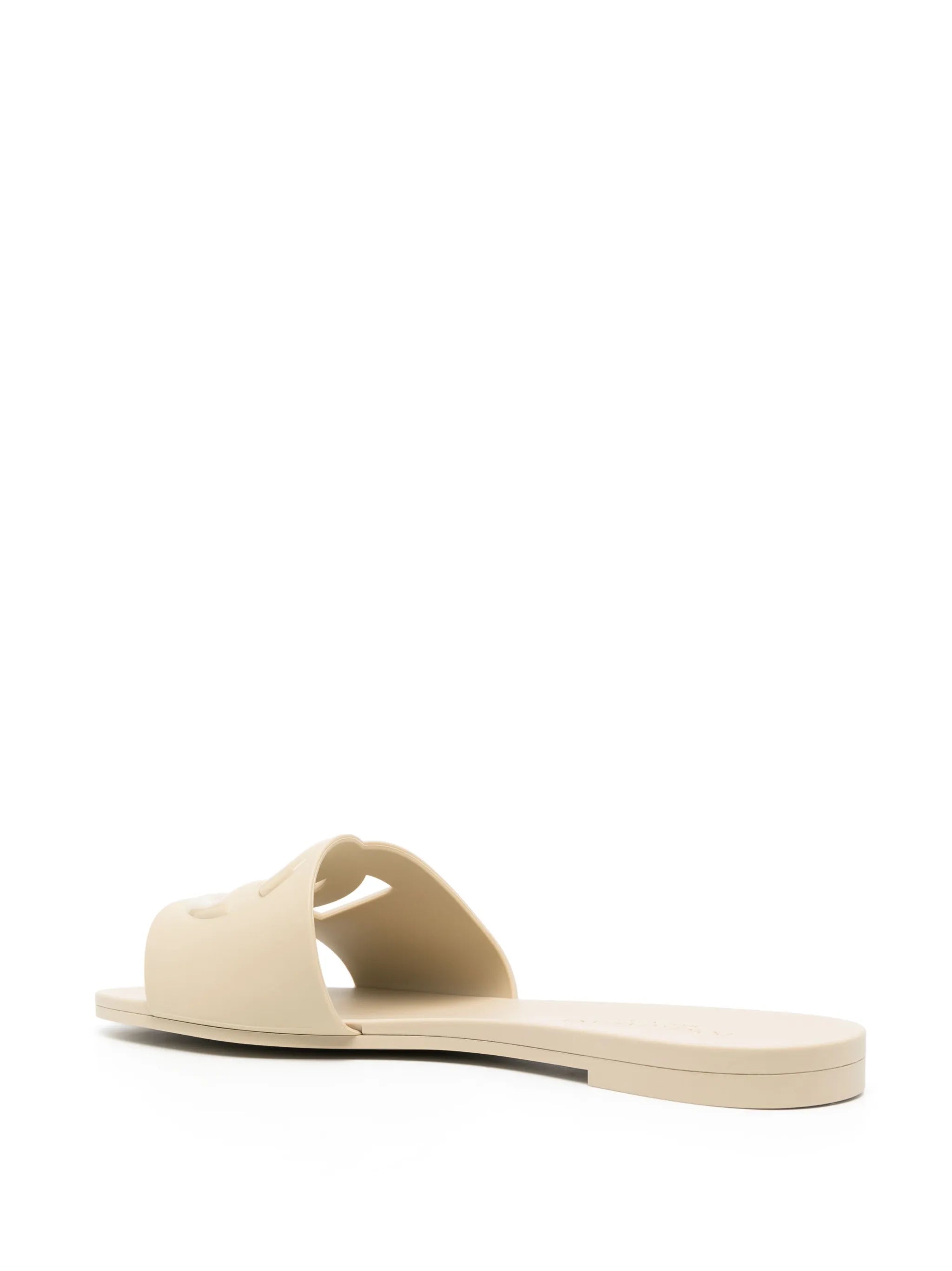 Bianca DG-logo slides
