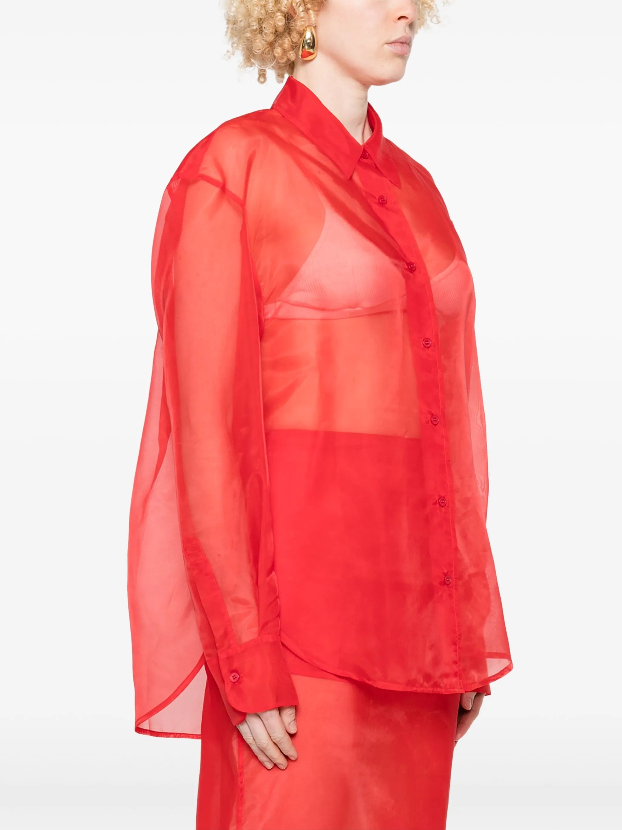 Peri sheer shirt