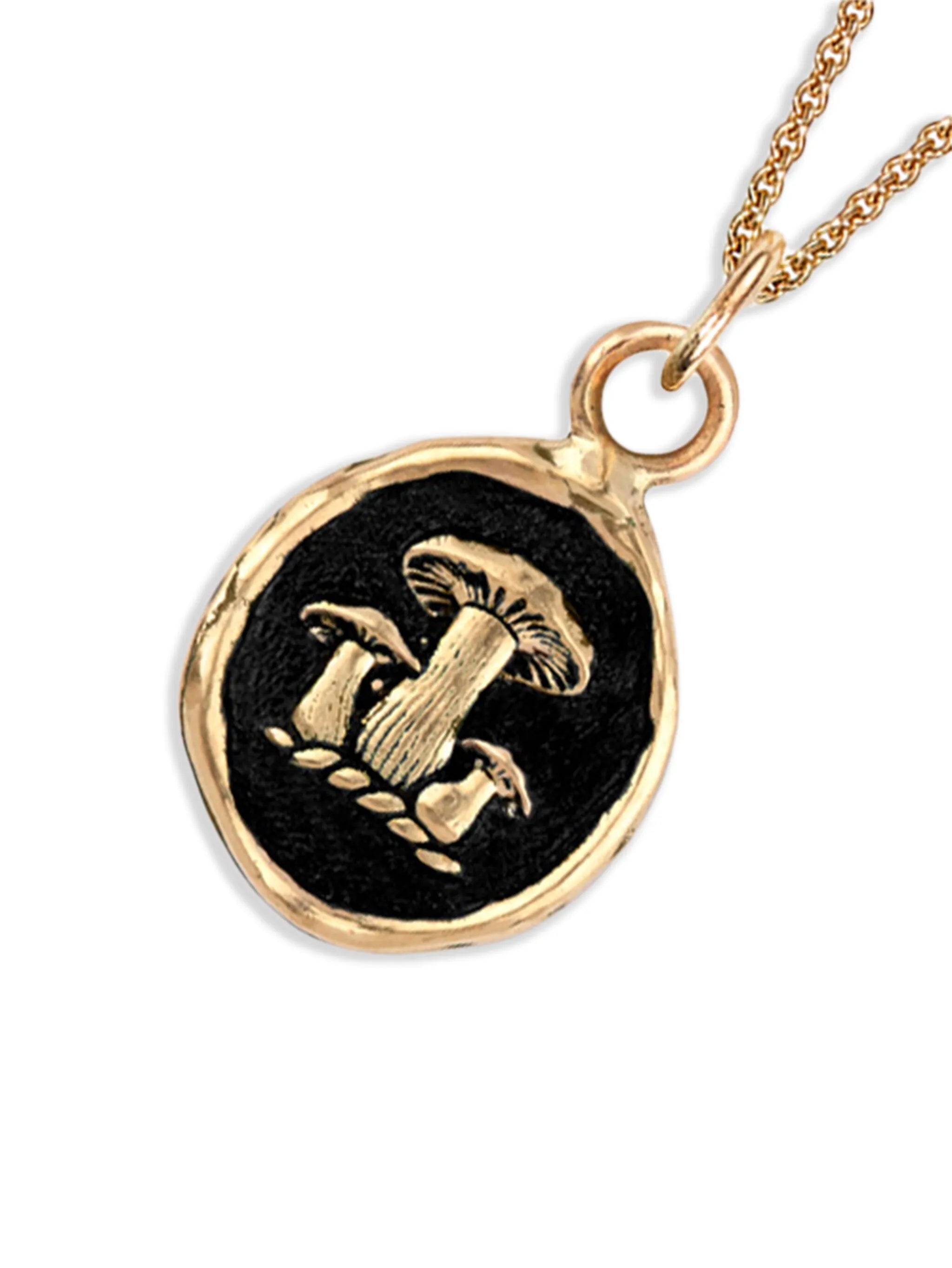 14K yellow gold Earthy Talisman pendant necklace