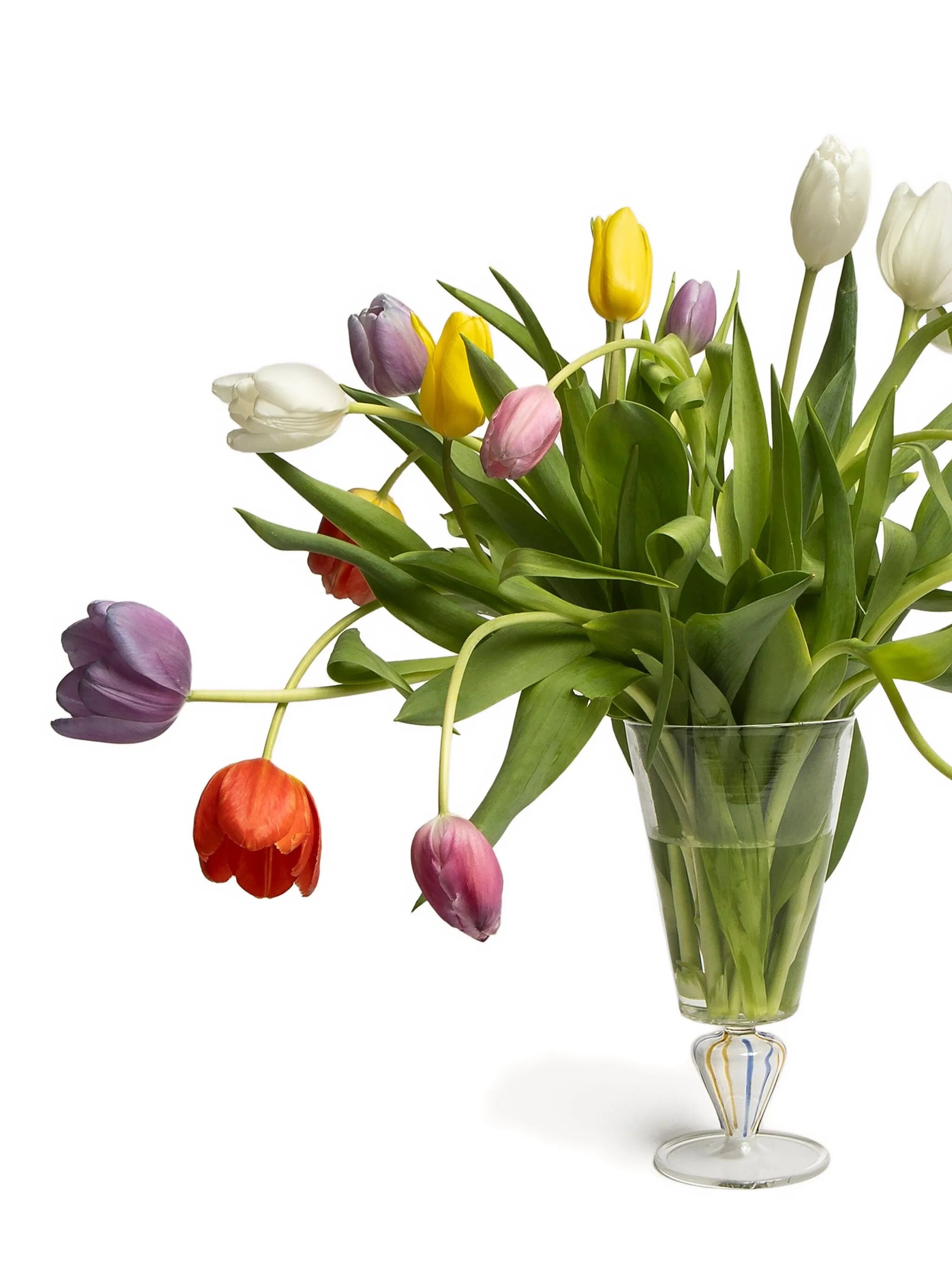 coloured-stem vase