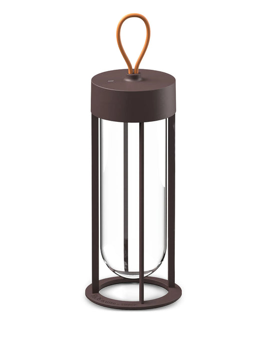 In Vitro lamp