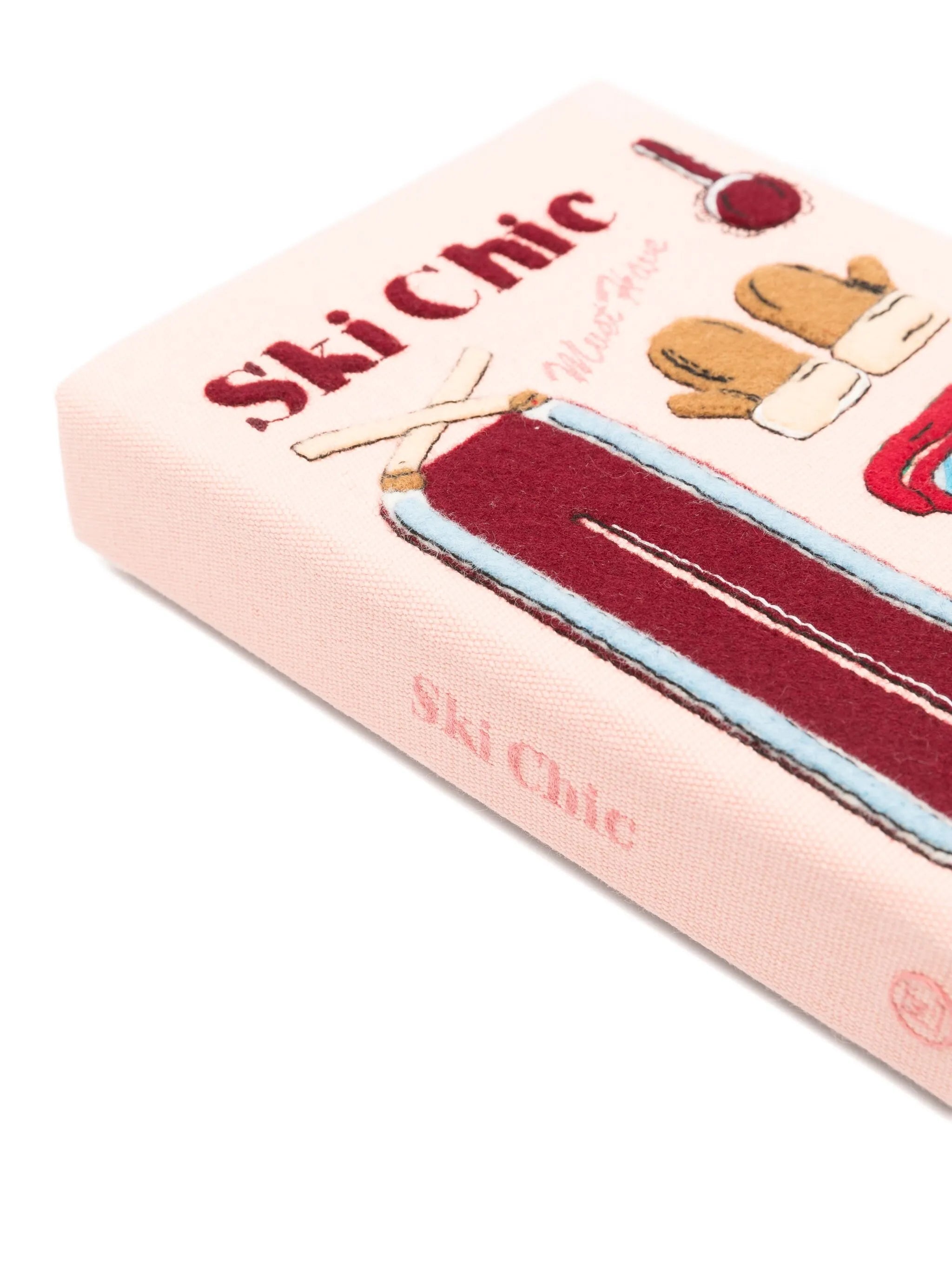 Ski Chic clutch