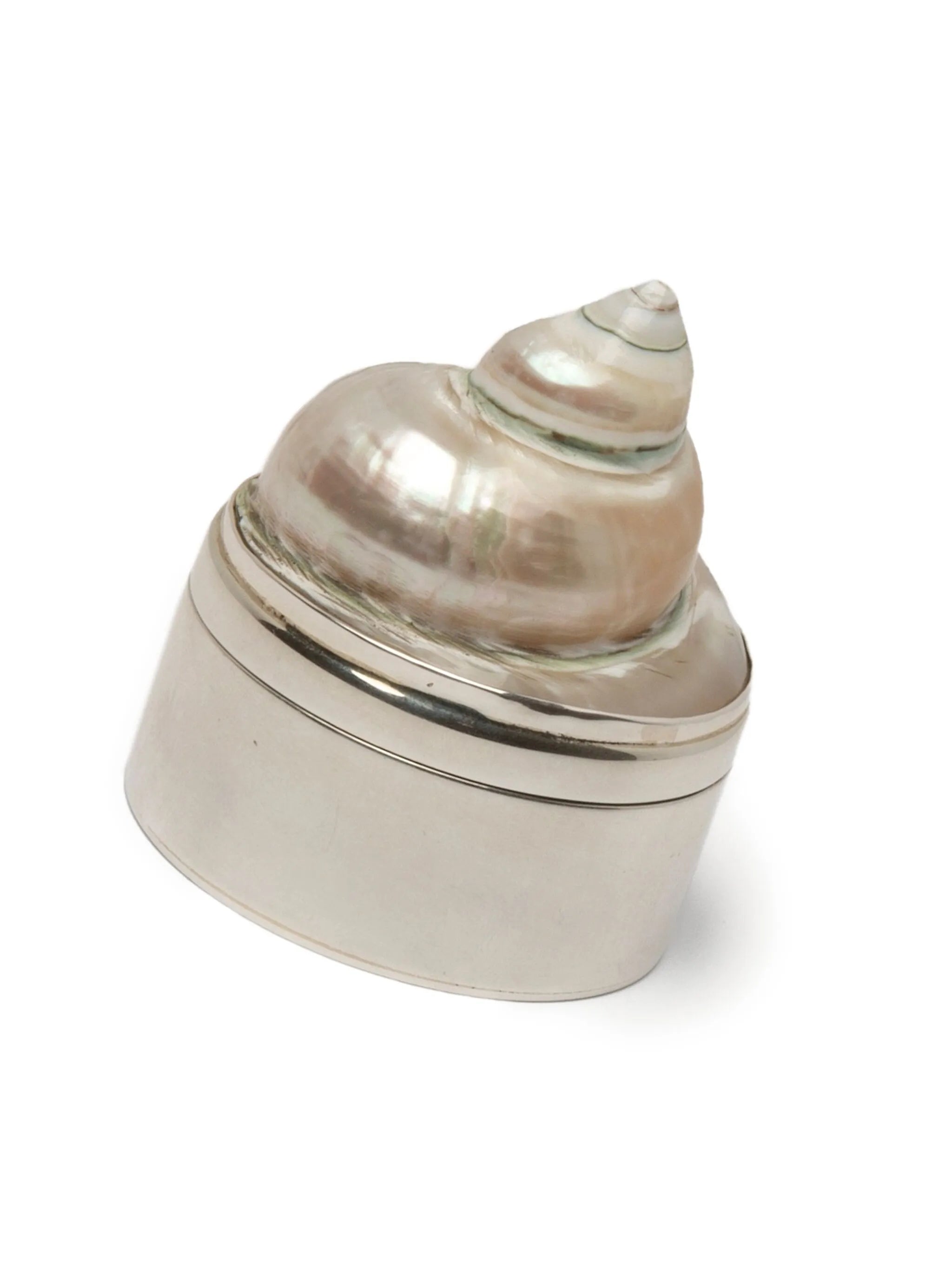 Shell jewelry box