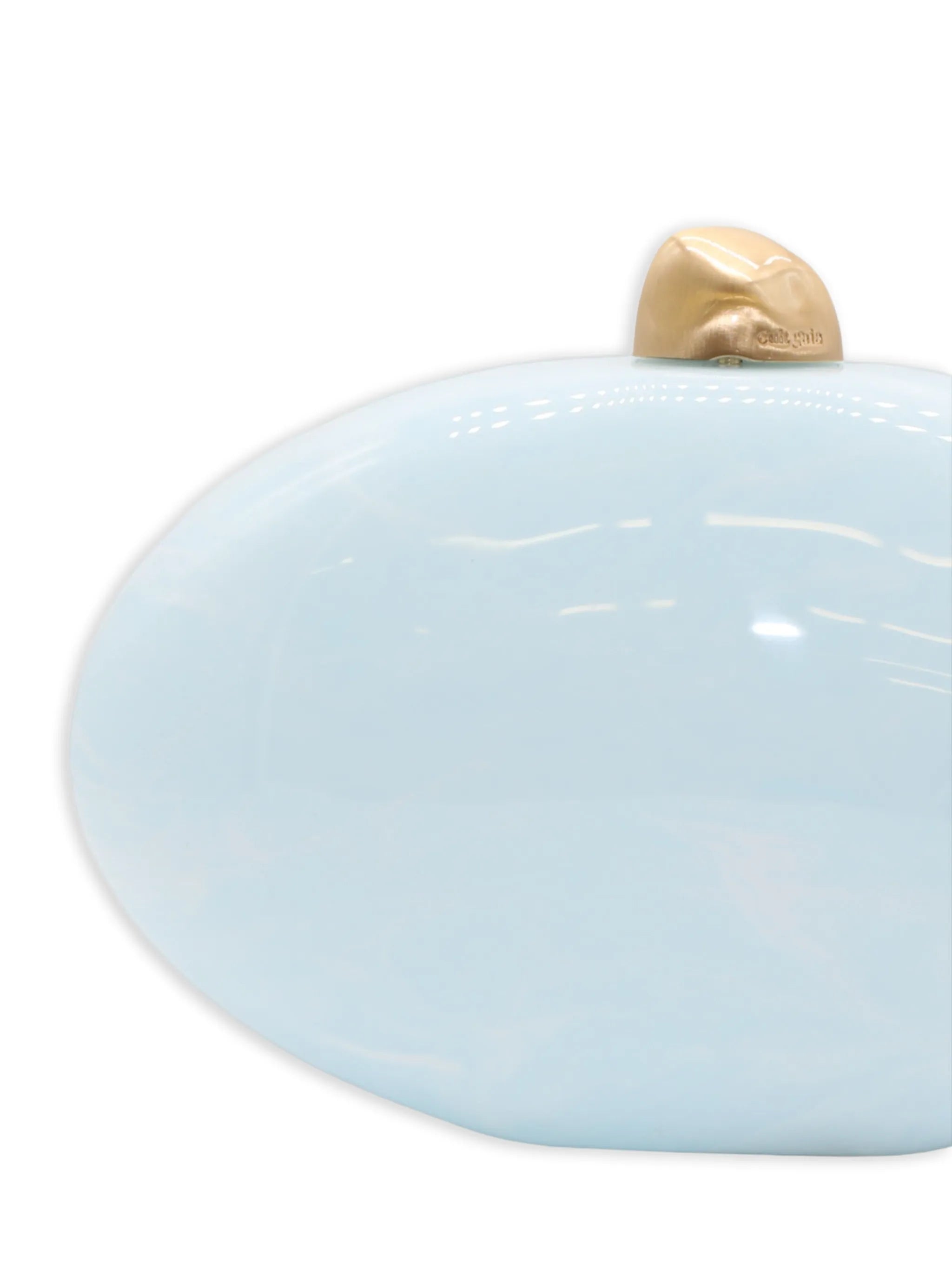 Eviana clutch bag