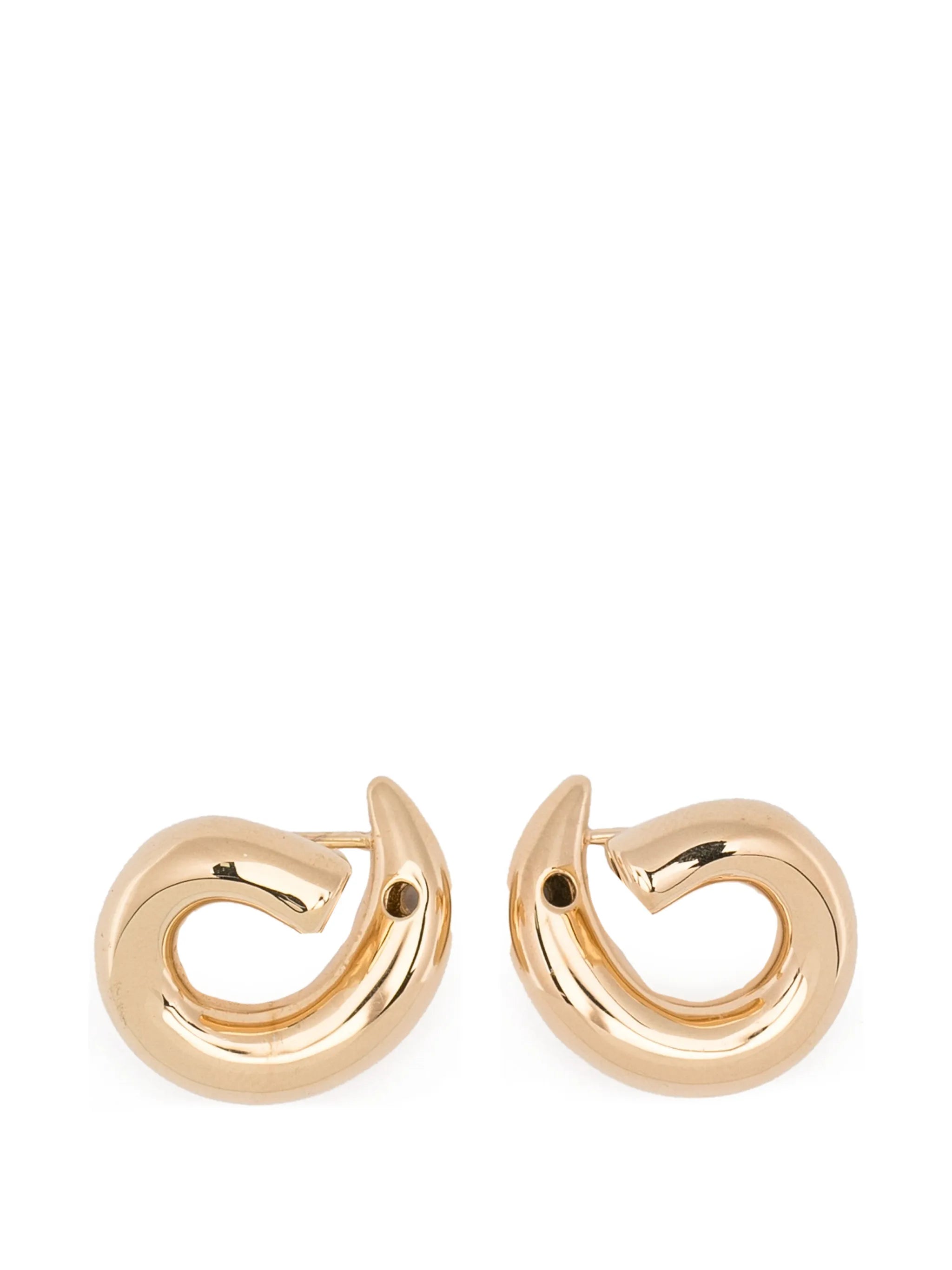 small Sardines curved earrings