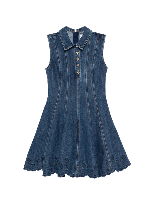 collared a-line dress