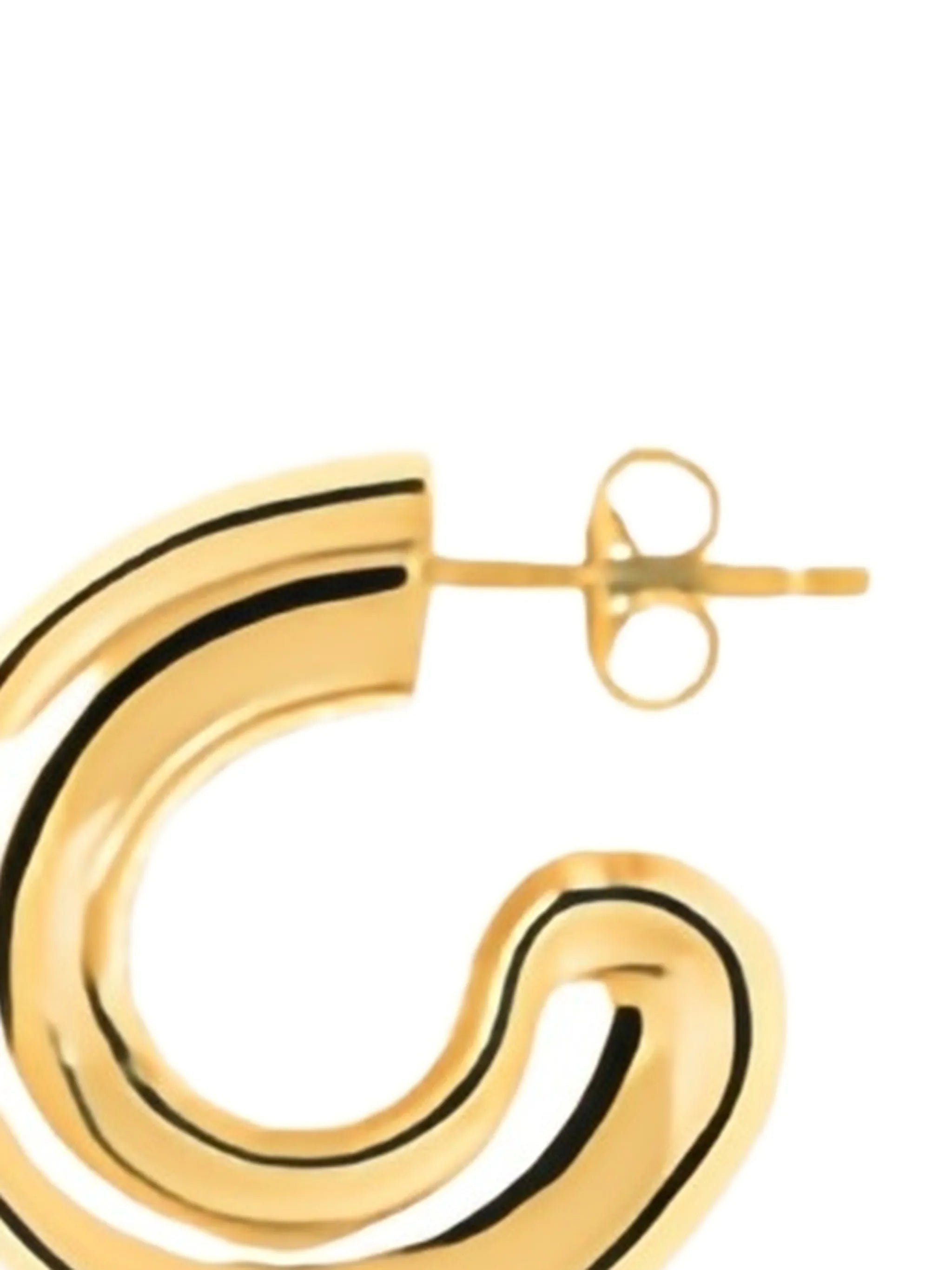 Rose earrings