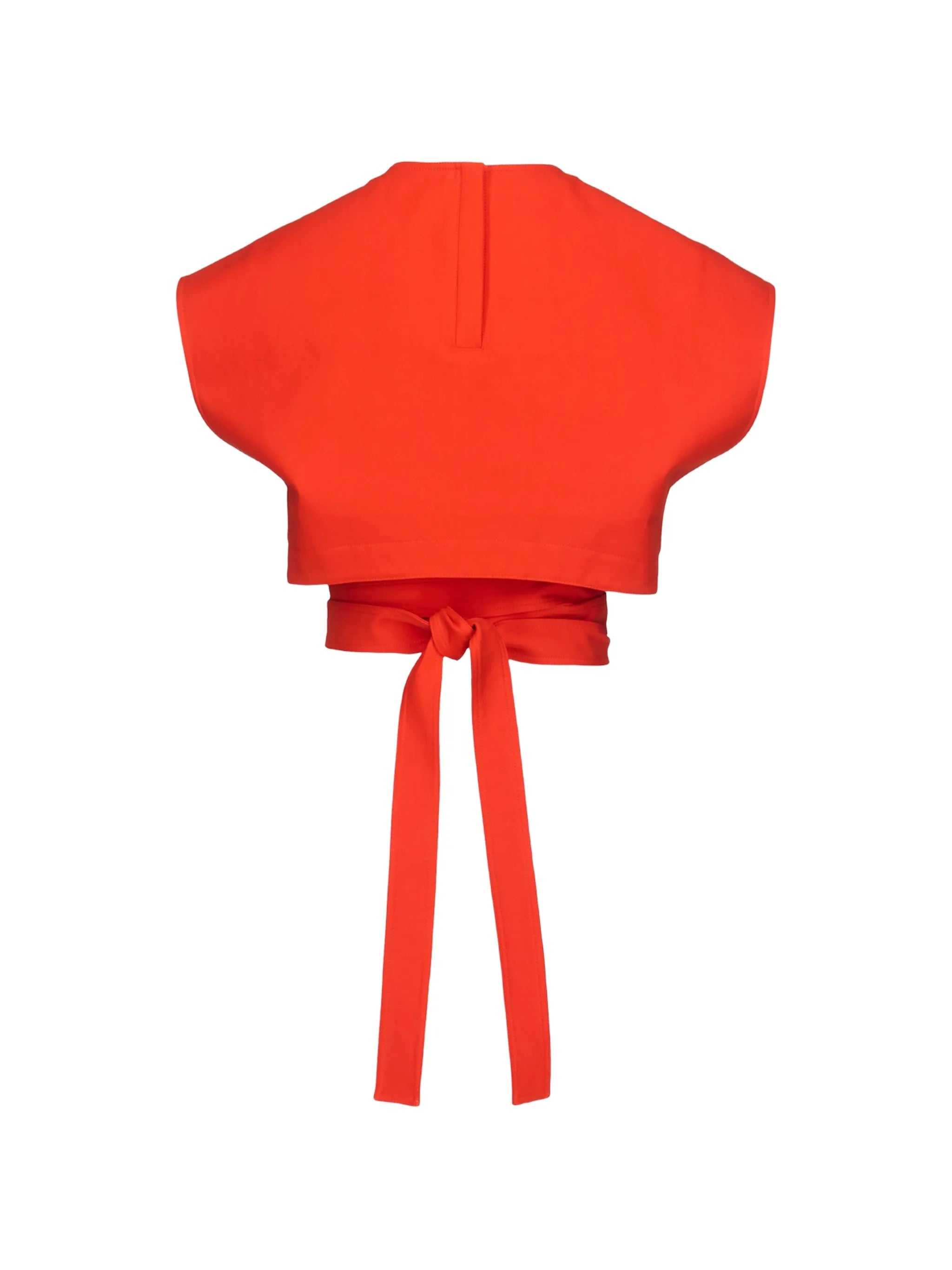 belted crop top