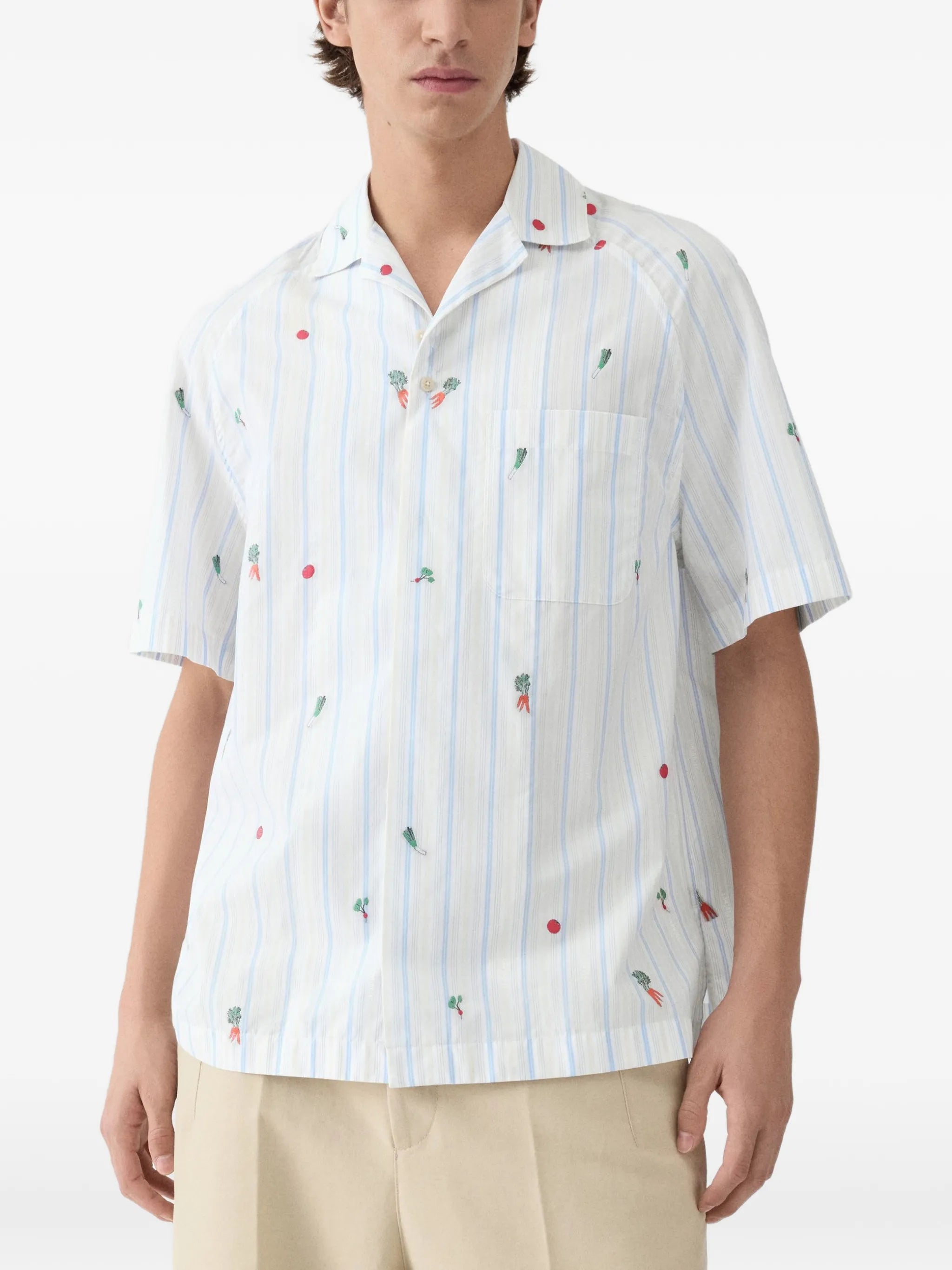 striped embroidered shirt