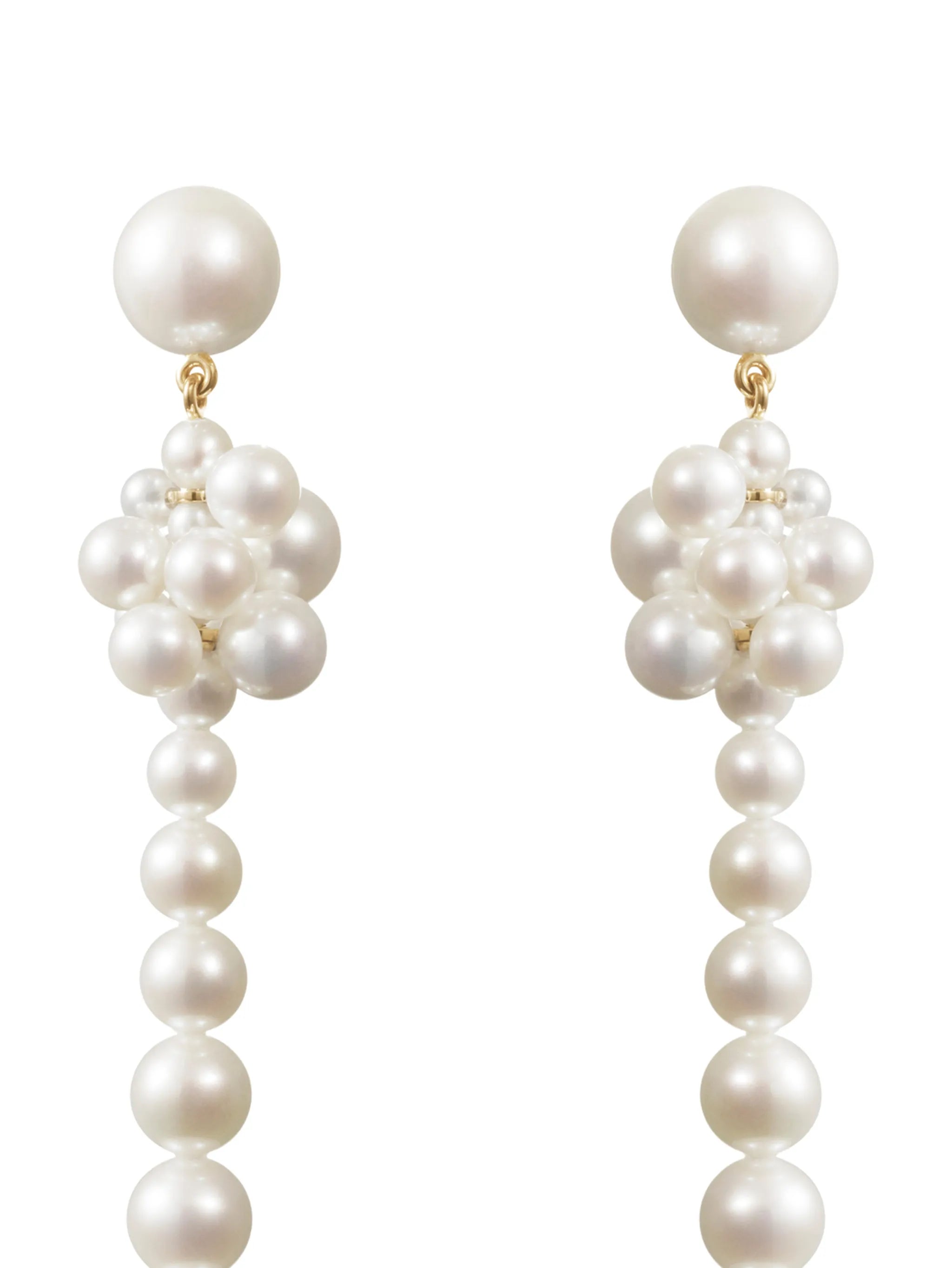 Colonna Botticelli pearl drop earrings