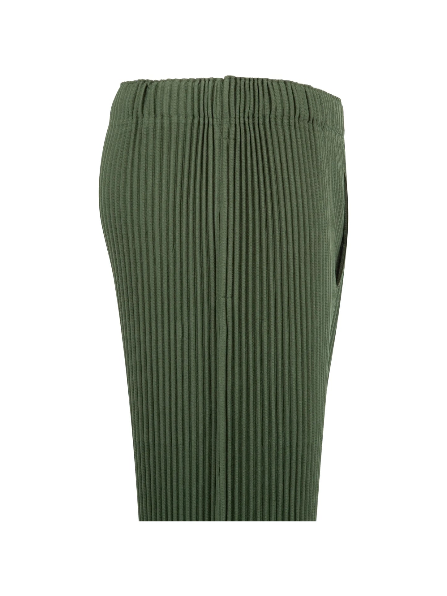 Color Pleats 2 shorts