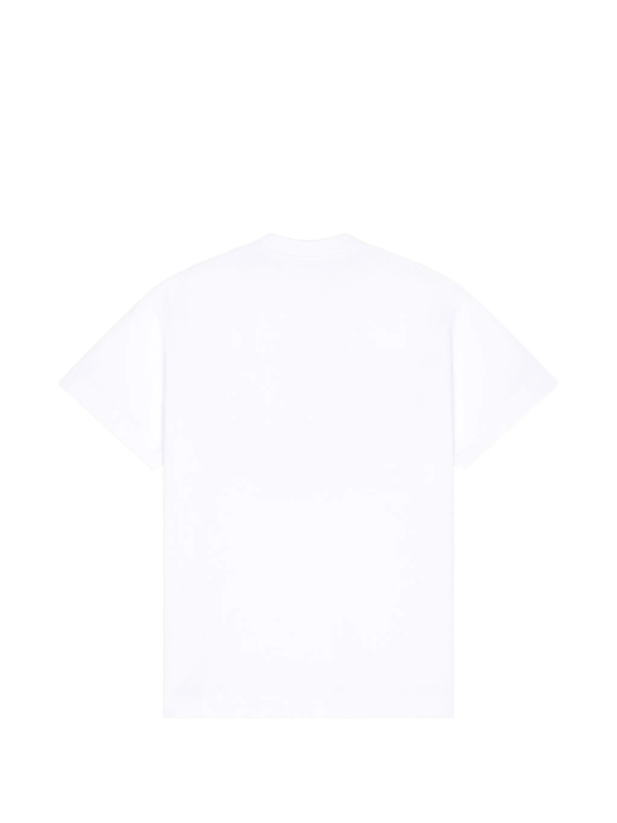 T-shirt in cotton with Paris embroidery