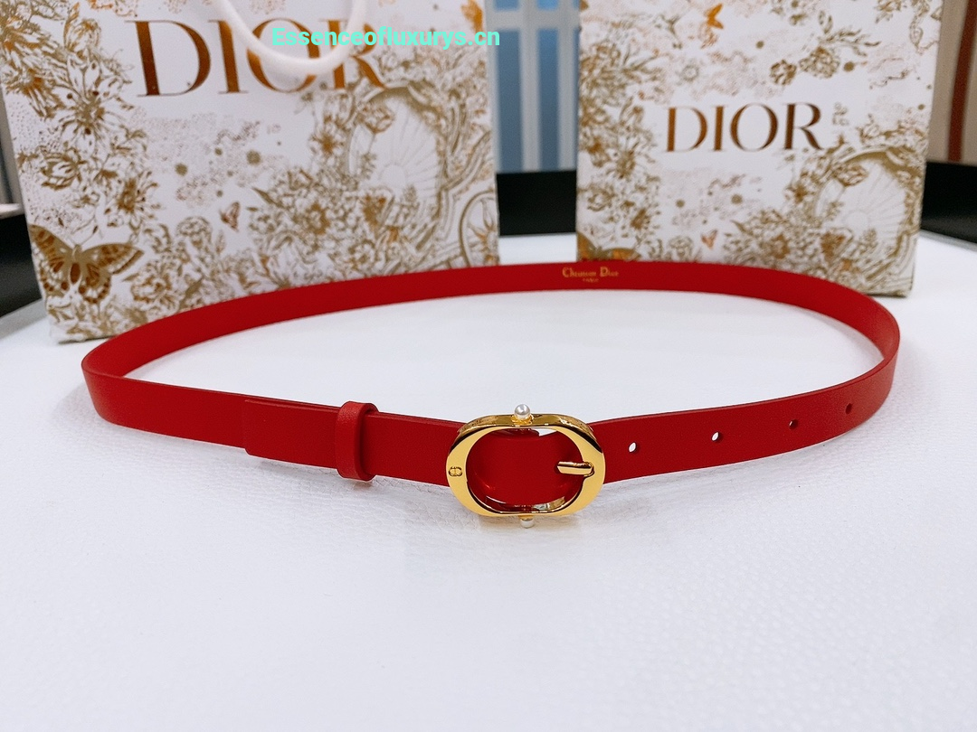 Knockoff Dior Strap You